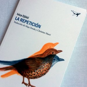 imagen-de-la-repeticion