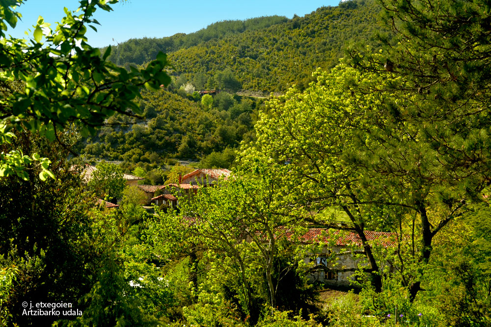 La poesía de los árboles (Antol.), de Ignacio Abella y Leticia&nbsp;Ruifernández