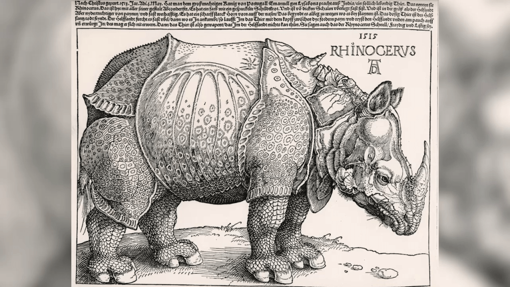 Deambulaciones de la Ganda de Modafar, de Abel Fontoura Da&nbsp;Costa