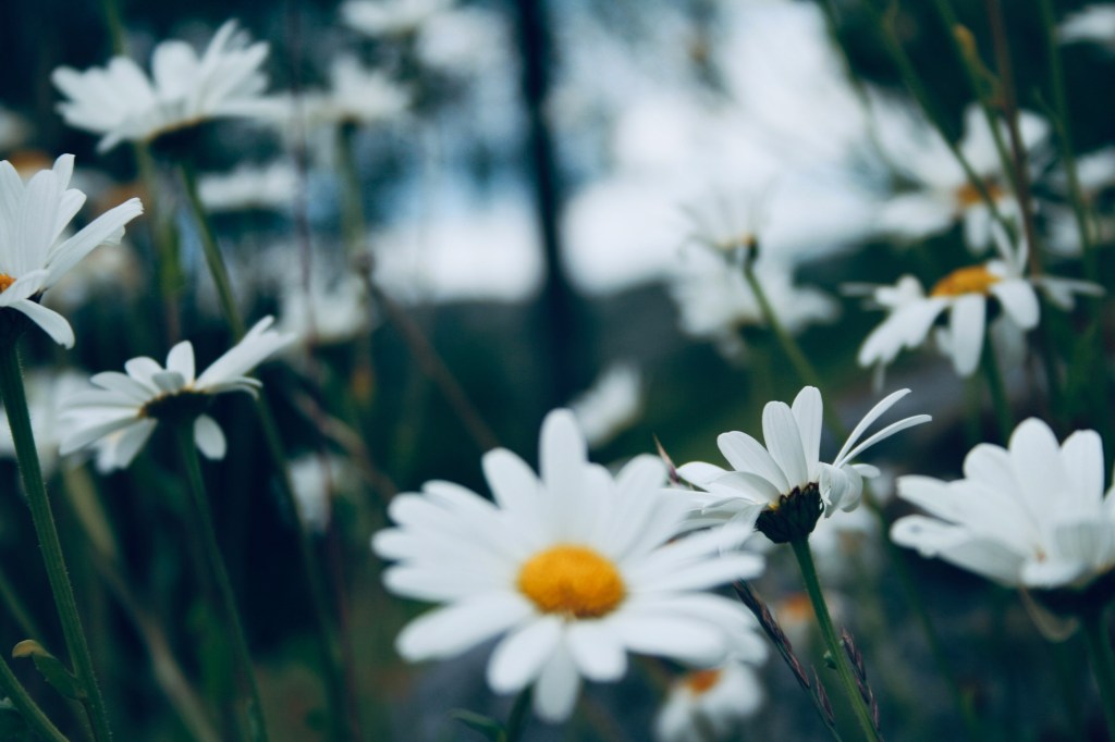Ya es primavera en el club de lectura&nbsp;deborahdor